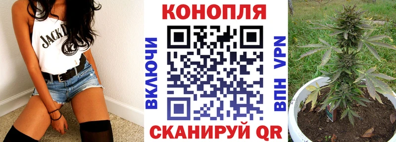 Шишки марихуана ГИДРОПОН  Полярный 